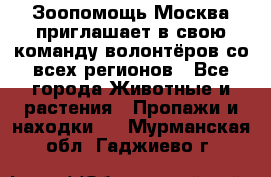 Зоопомощь.Москва приглашает в свою команду волонтёров со всех регионов - Все города Животные и растения » Пропажи и находки   . Мурманская обл.,Гаджиево г.